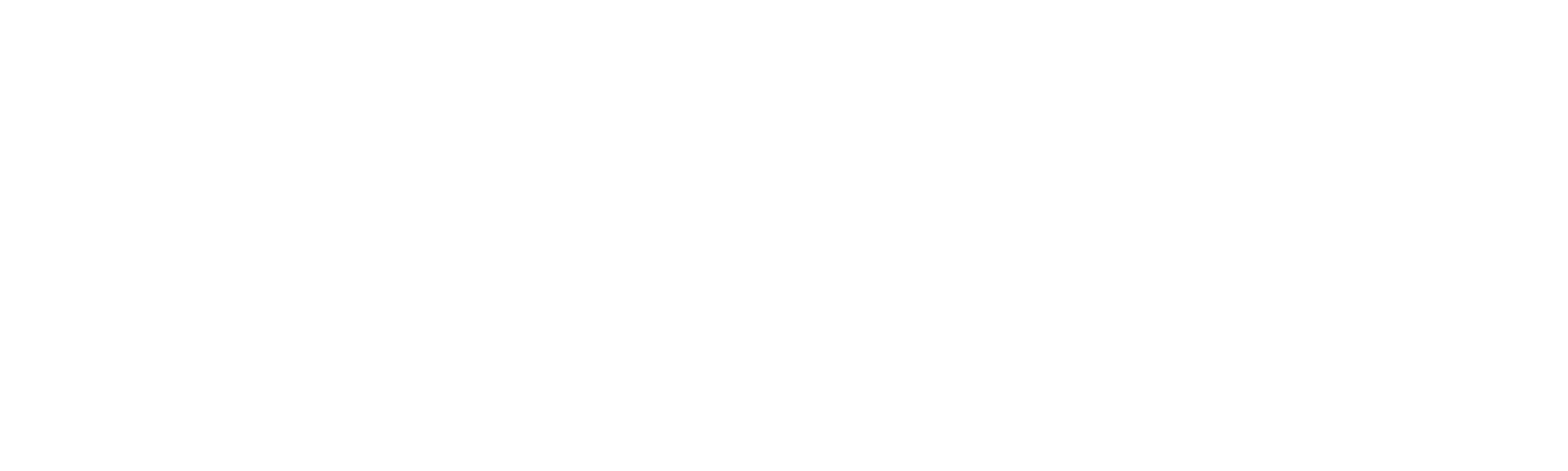 Logo Visity